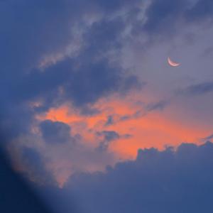 美女免费视频网站
