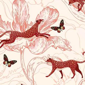 美女免费视频网站
