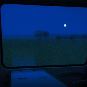 美女免费视频网站
