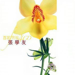 美女免费视频网站
