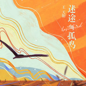 美女免费视频网站
